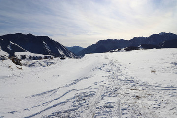 雪原