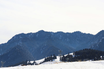 雪原