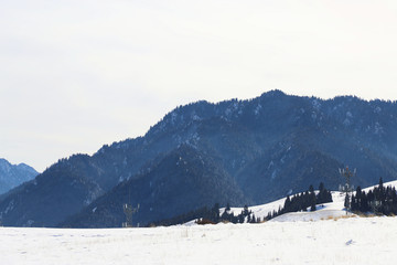 雪原