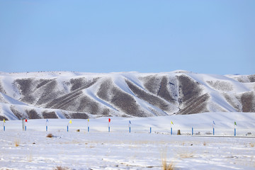 雪原