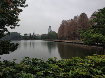 流花湖公园景观