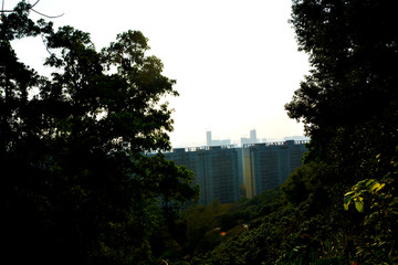 山中远望城市风景