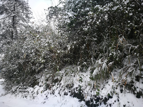 乡村雪景