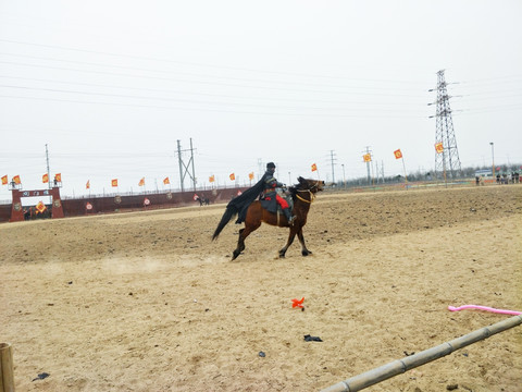 骑兵战马