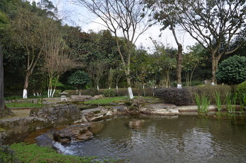 公园溪水