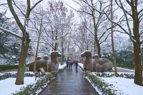 明孝陵雪景