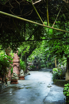 巴厘村里的藤蔓路