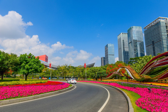 深圳市民中心的花海