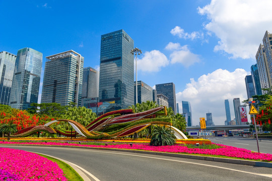 深圳市民中心的花海