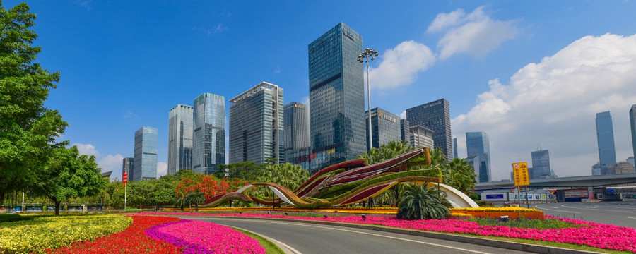 深圳市民中心的花海