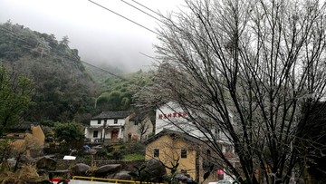 浙江金华马岭脚村