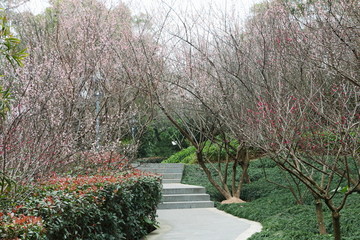 福州金鸡山公园