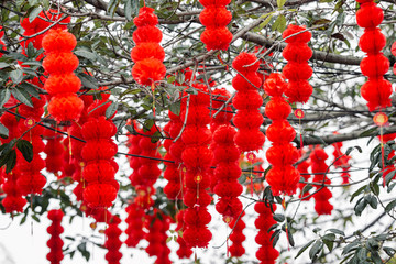 新年灯笼高高挂