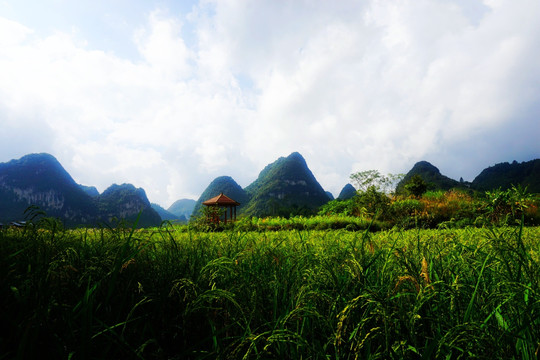 鹅泉风景区