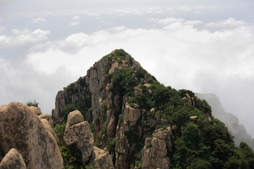 泰山云海之巅