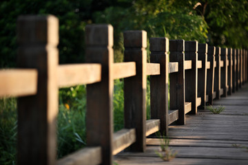 淇澳岛红树林湿地公园