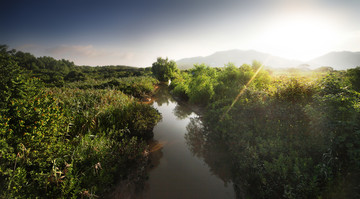 淇澳岛红树林湿地公园