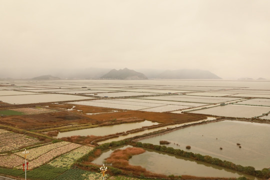 滩涂风光