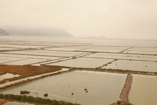 霞浦沙塘里