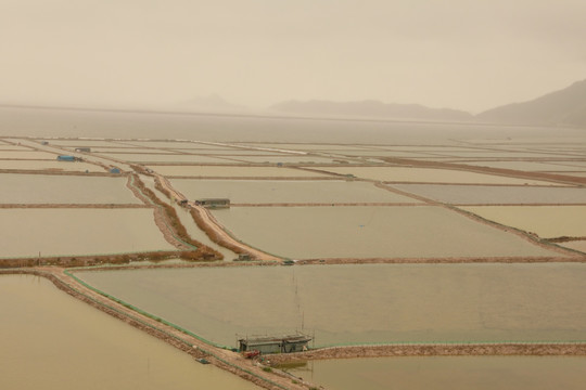 霞浦沙塘里