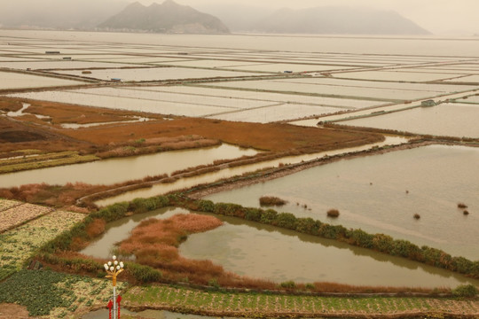 霞浦沙塘里