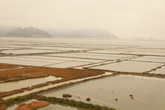 霞浦沙塘里