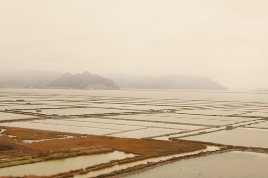 霞浦沙塘里