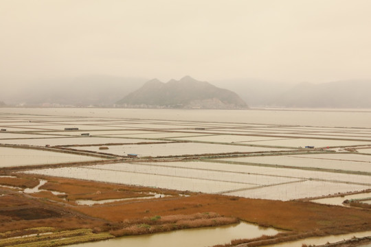 霞浦沙塘里