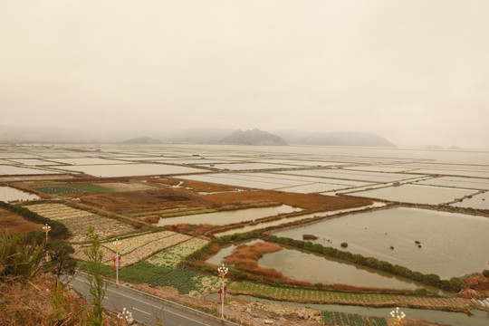 霞浦沙塘里