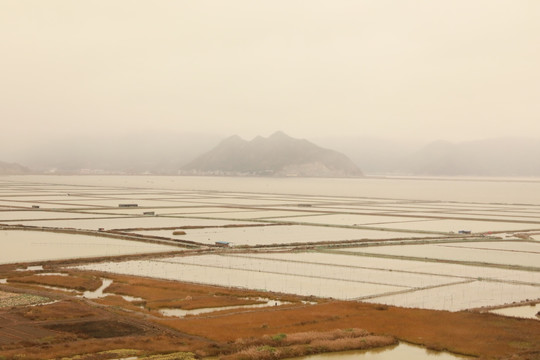 霞浦沙塘里