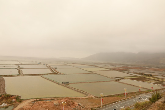 霞浦沙塘里