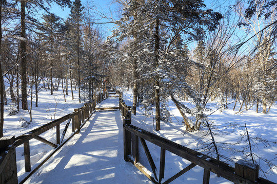 雪乡冰雪画廊