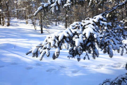 雪乡冰雪画廊