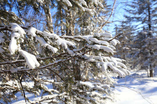 雪乡冰雪画廊