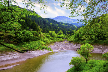 森林远山