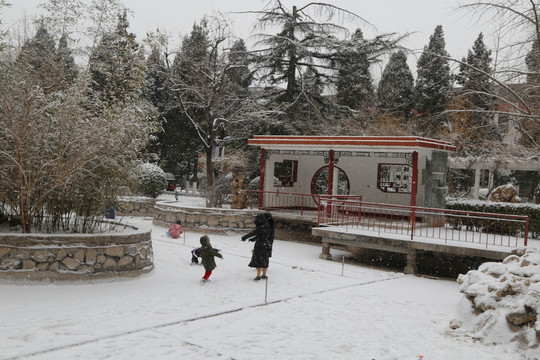 雪后的静心园