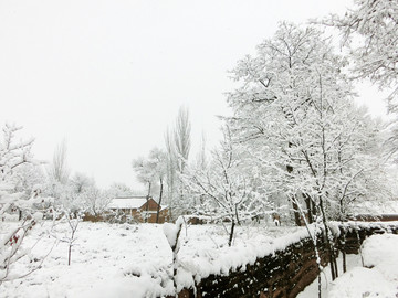 雪景景观