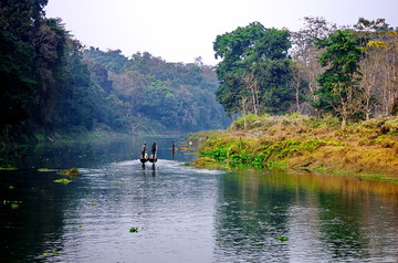奇达旺野生动物保护区