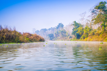 丛林河流