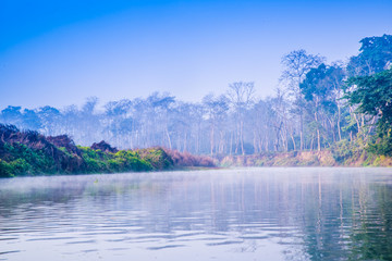 丛林河流