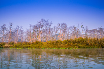 丛林河流