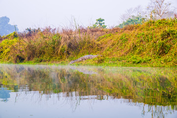 野性河流