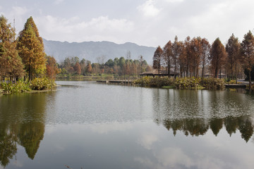 重庆璧山观音塘湿地公园