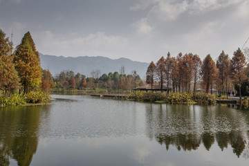 重庆璧山观音塘湿地公园