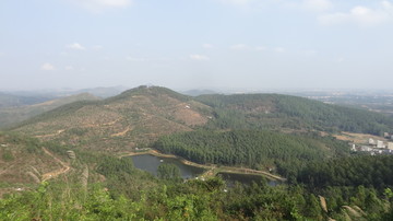 俯视山林风景