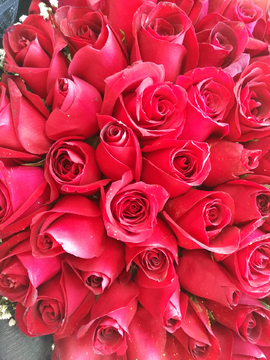 情人节鲜花玫瑰
