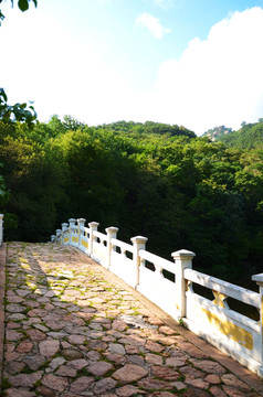 千山龙潭飞龙桥与山林