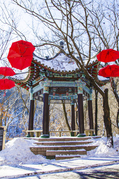 千山龙潭观龙亭红伞祈福雪景