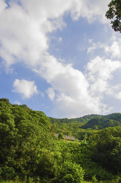 千山明潭山峰山林与白云