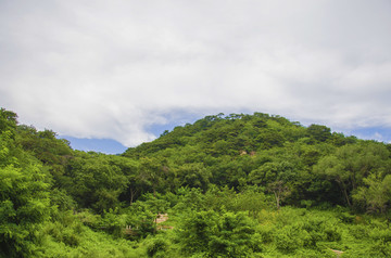 千山桃花溪谷山峰山林与漫天白云